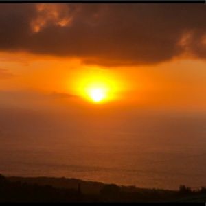 Meet your Posher, Jeannette